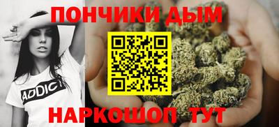 индика Лесосибирск