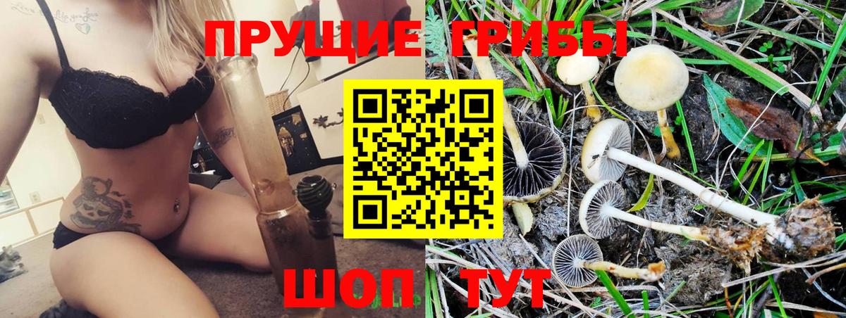 Галлюциногенные грибы Psilocybe  Вход с VPN  Псилоцибиновые грибы Magic Shrooms  Камышин 