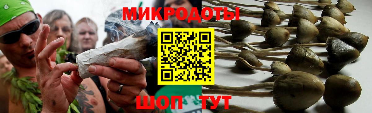 Псилоцибиновые грибы ЛСД Камышин